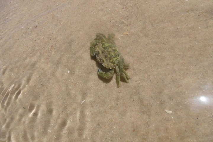 Beach 4 of 8