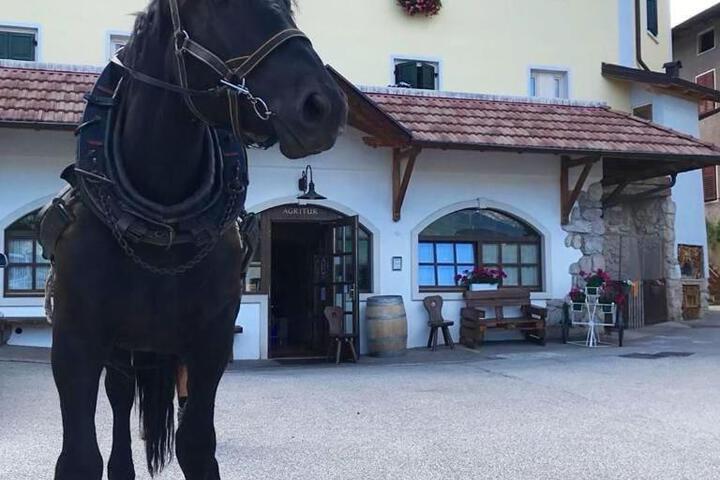 General 36 of 82