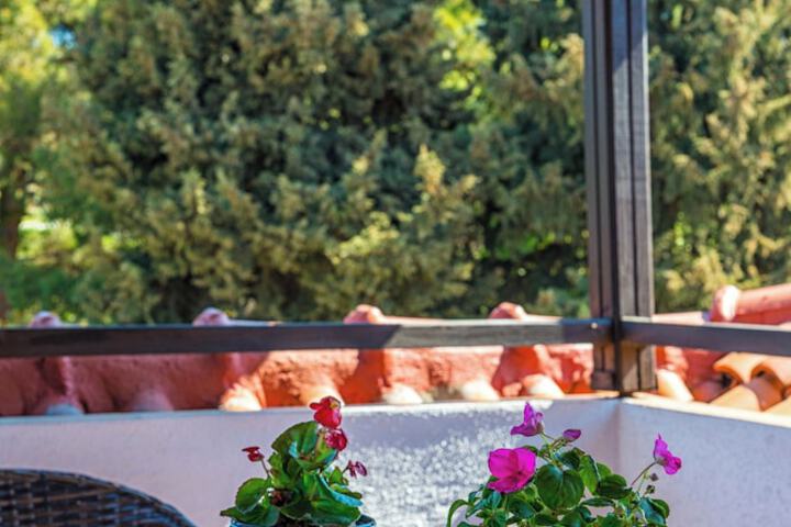 Terrace/Patio 292 of 292