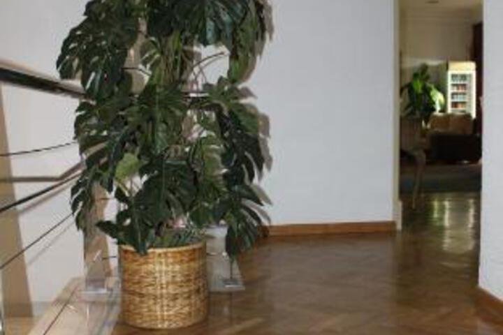 Spa and Wellness Pictures