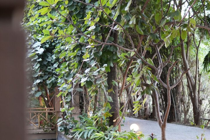 Hotel Exterior 35 of 45