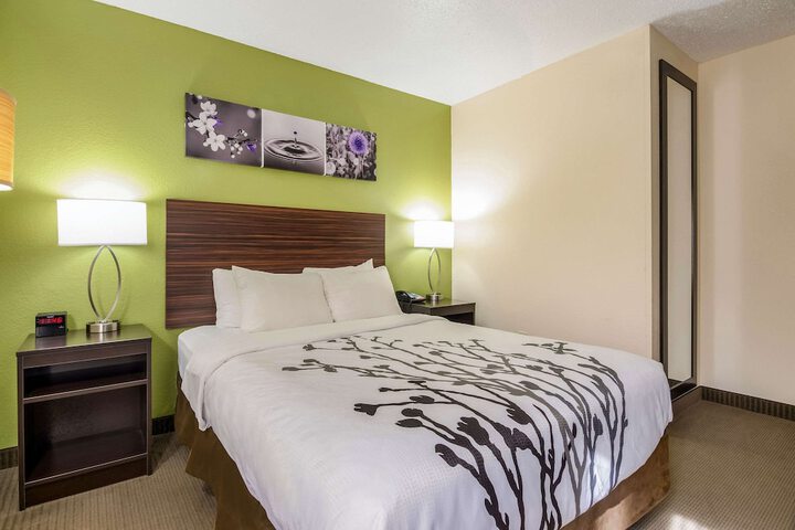 Standard Queen Bed Accessible (4 of 5)