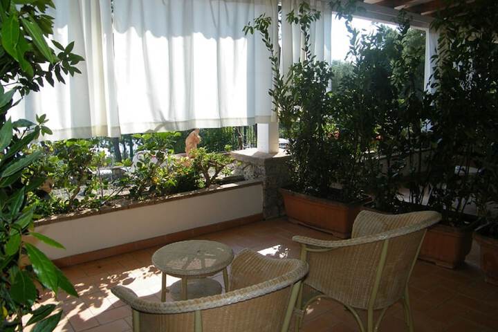 Terrace/Patio 80 of 90