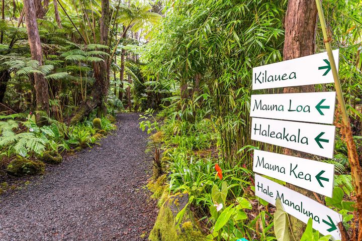 Volcano Village Lodge