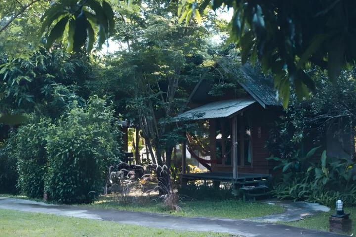 Photo 29