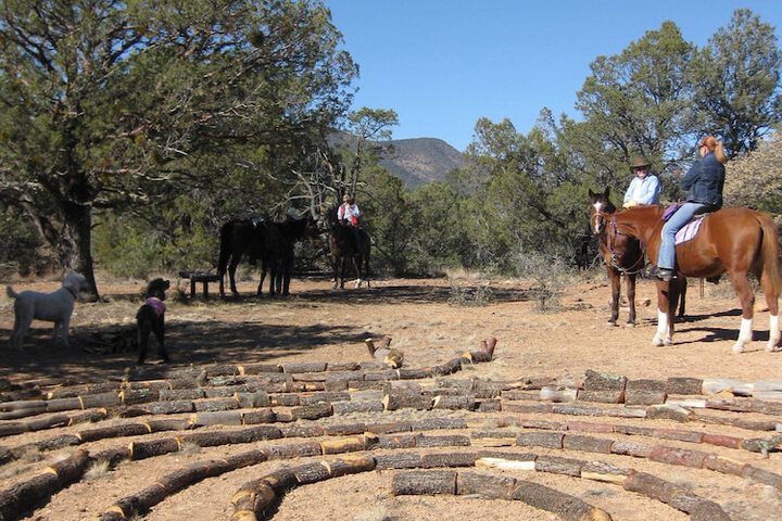 Property Grounds 56 of 81