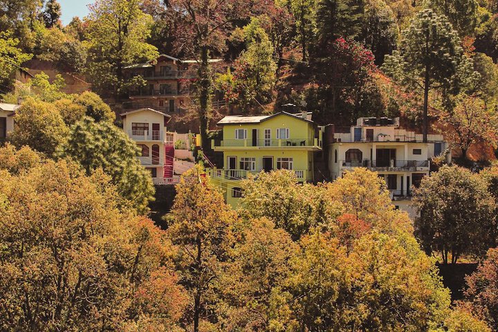The Himalayan Living - Whispering Oaks