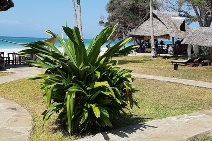 Beach 129 of 174