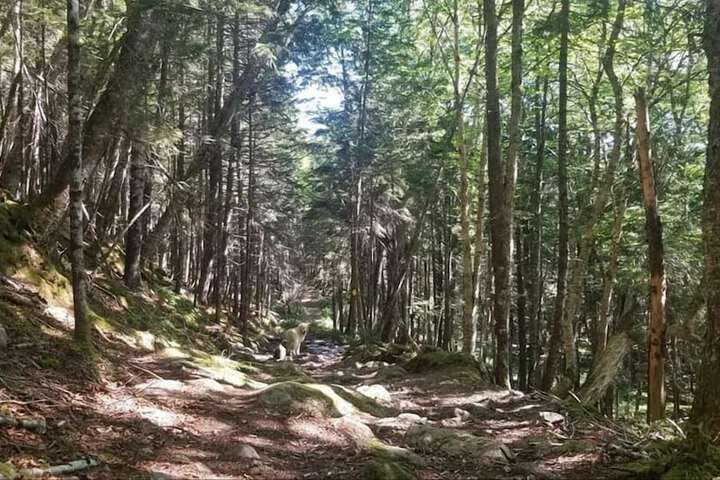 Ecotours