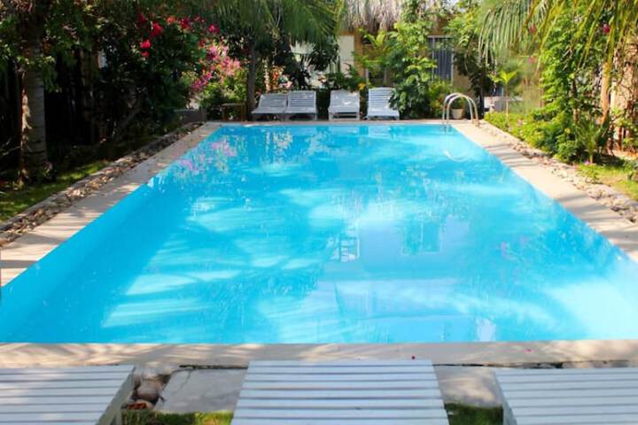 Pool 25 of 42