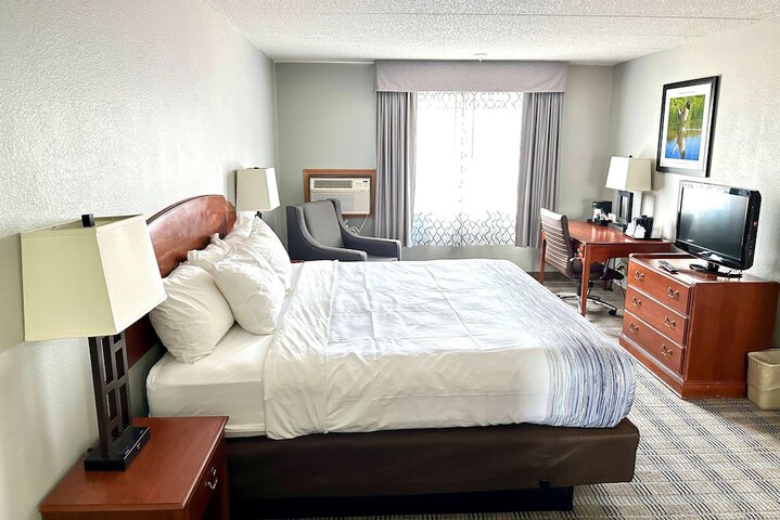 1 King Bed (10 of 13)