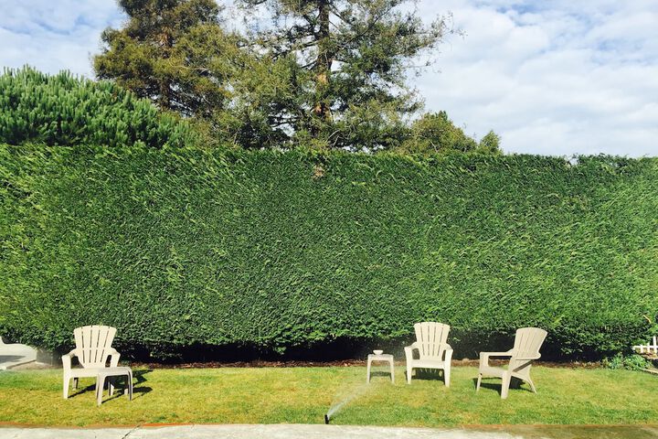 Property Grounds 23 of 31