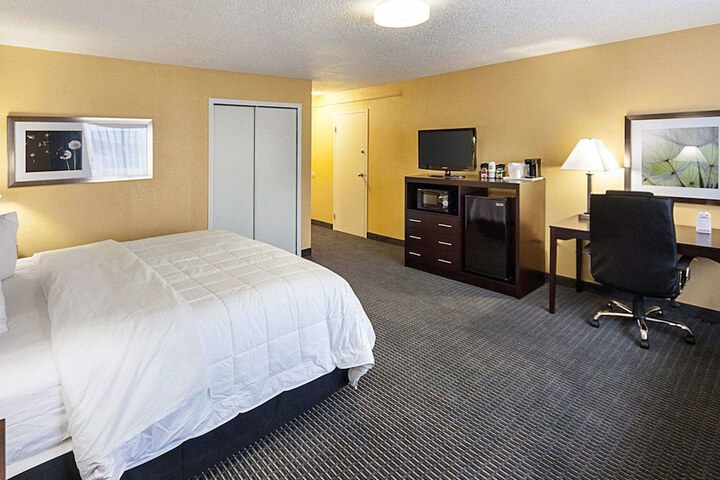 1 King Bed Accessible (6 of 9)