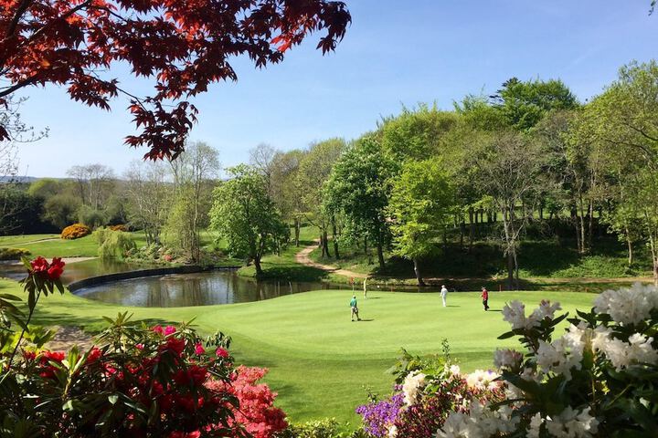 Golf 24 of 55