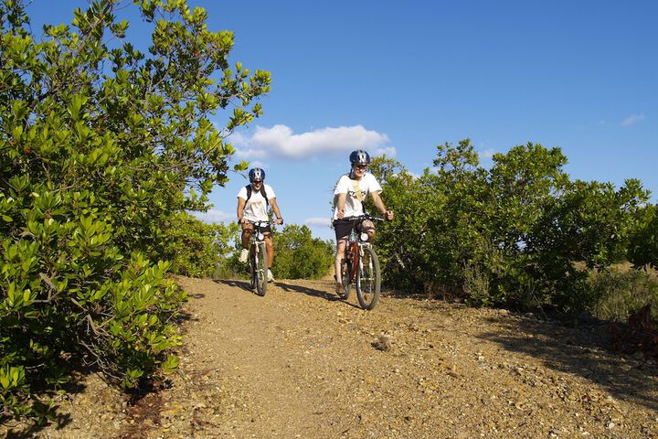 Bicycling
