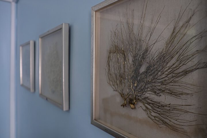 Room 12 of 27