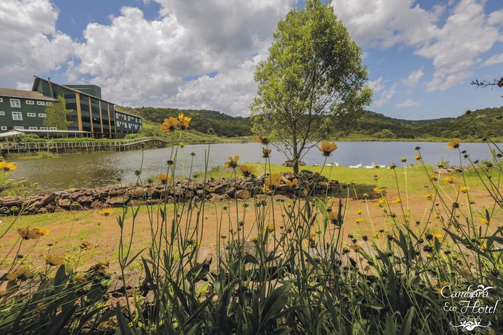Property Grounds 18 of 20