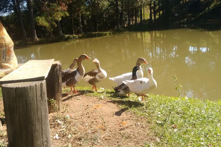 Property Grounds 26 of 49