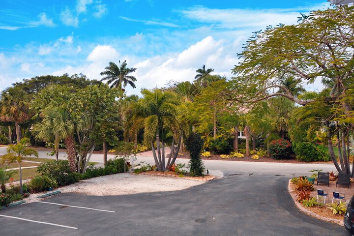 Property Grounds 37 of 38