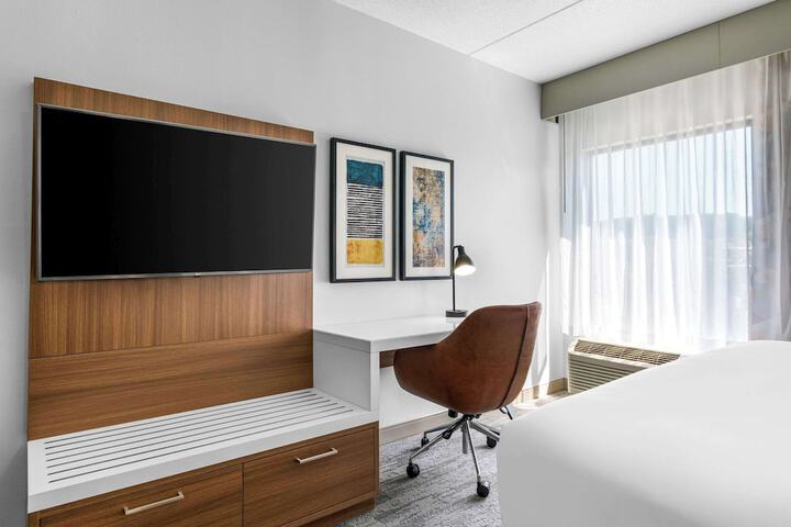 1 King Bed Accessible (6 of 14)