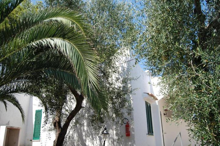 Photo 24