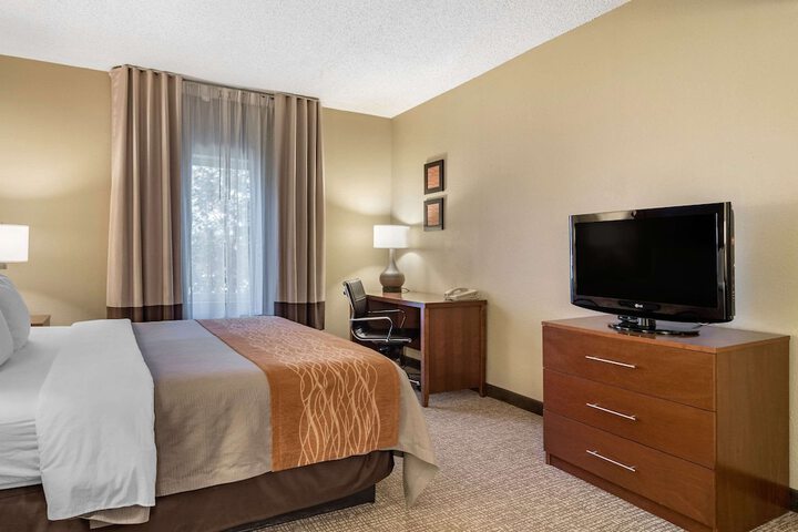 1 King Bed Accessible (8 of 15)