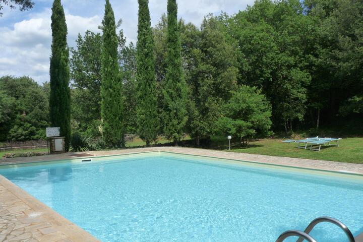 Pool 10 of 15