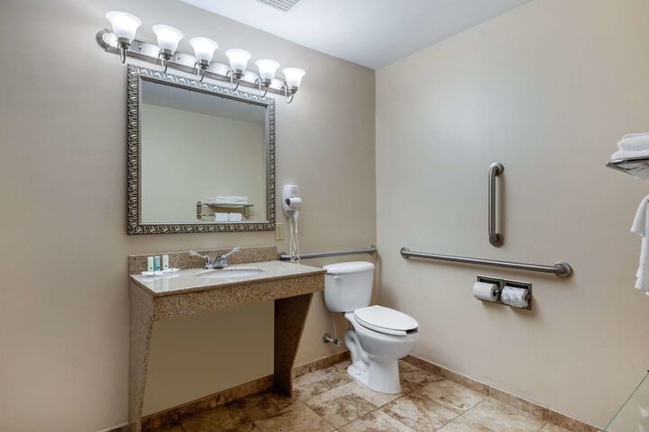 1 King Bed Mobility Accessible (5 of 16)