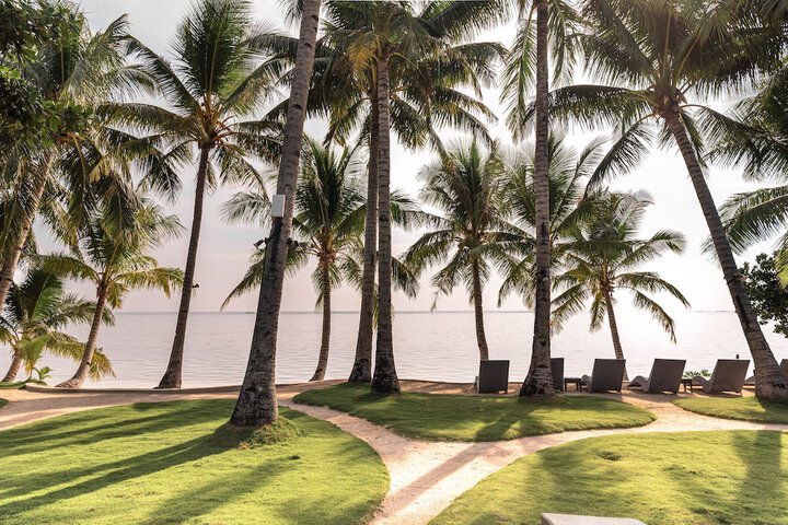 Beach 160 of 169
