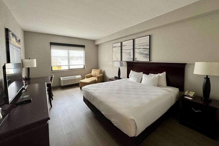 1 King Bed (3 of 16)