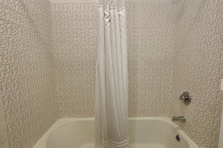 Interior Economy Queen Bed Pet Friendly (4 of 47)