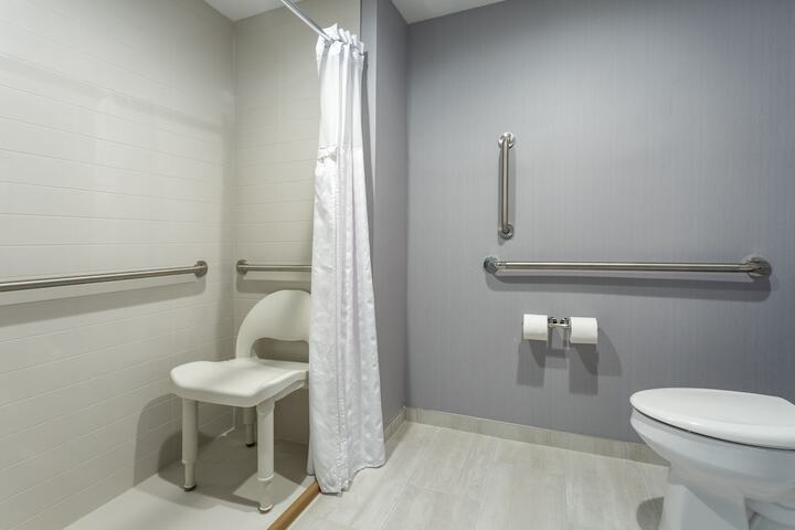 1 King Bed Accessible Bathtub (10 of 11)