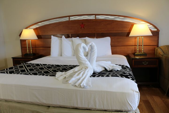 1 King Bed Accessible (19 of 22)