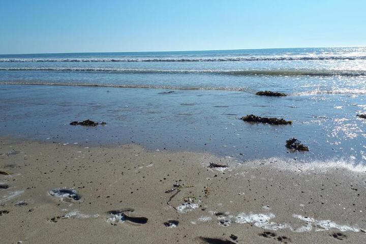 General 48 of 61