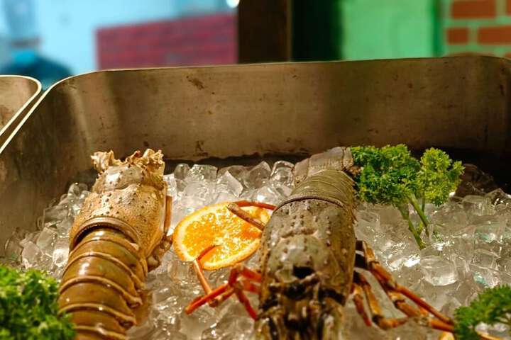 Dining 84 of 124