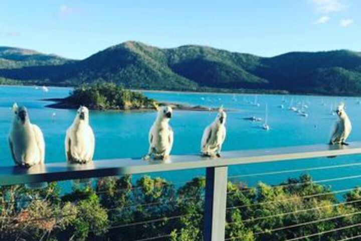 Terrace/Patio 5 of 38