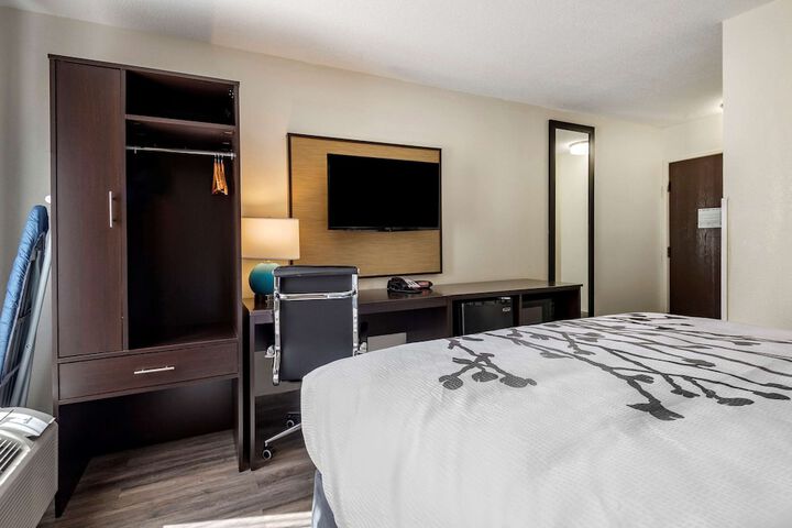 Queen Bed Accessible (4 of 13)