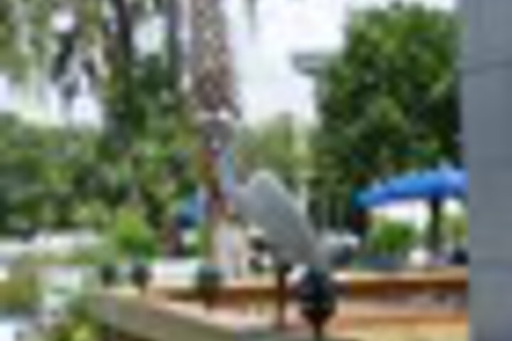 Property Grounds 176 of 207