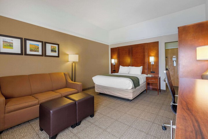 1 Queen Bed Accessible (9 of 24)