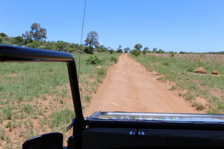Ecotours