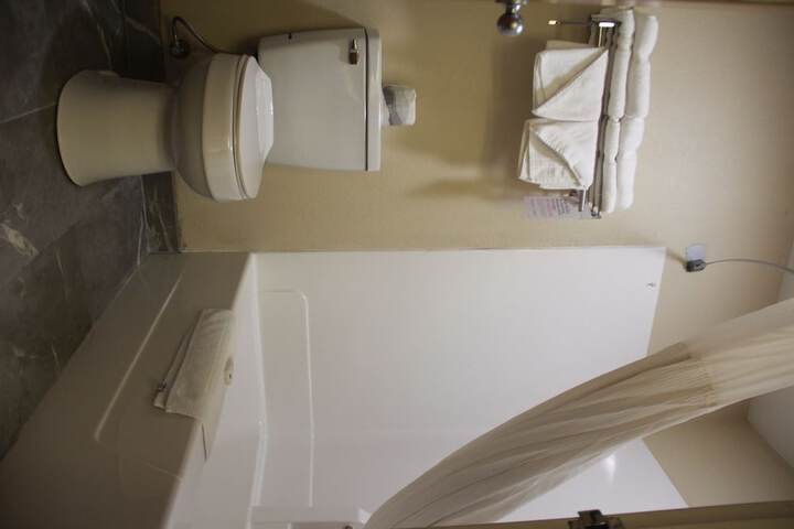 1 King Bed Mobility Accessible Bathtub with Grab Bars (2 of 12)