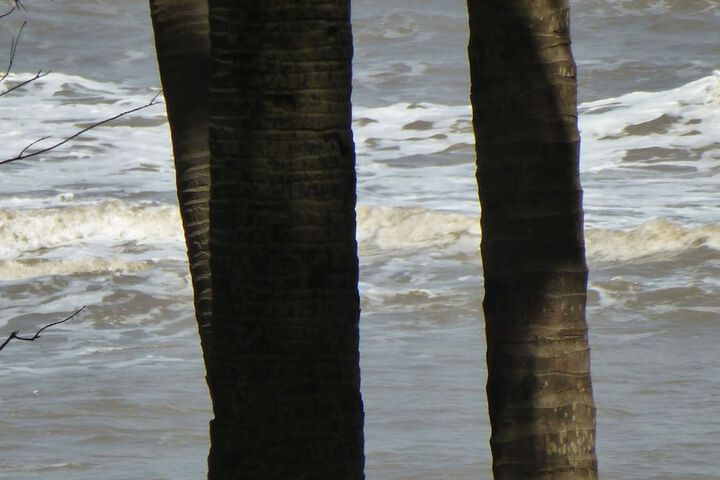 Beach 210 of 233