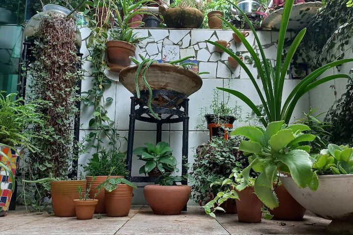 Terrace/Patio 36 of 56