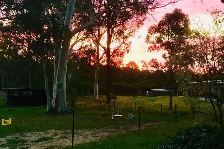 Property Grounds 37 of 50