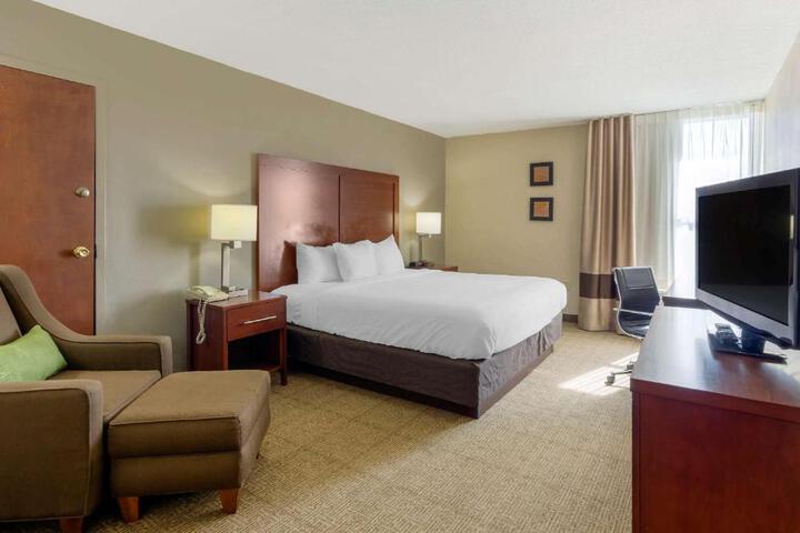 Standard | King Bed (3 of 7)