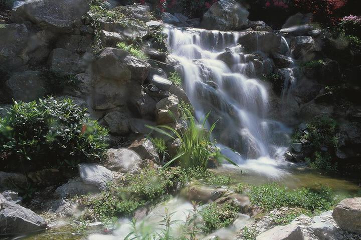 Photo 29