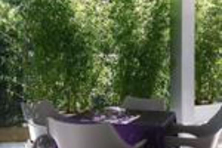 General 7 of 25