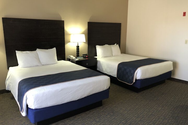 Room 4 of 22