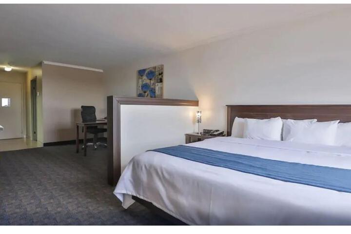 1 King Bed Business Room (6 of 11)