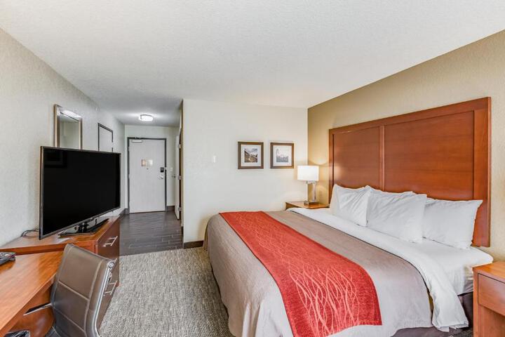 1 King Bed (1 of 10)